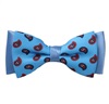 Sky Blue Paisley Bow Tie