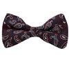 Blue Bow Tie Red Paisley Design