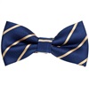 Blue Bow Tie with Gold Stripes
