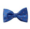 Royal Blue with Brown Paisley Bow Tie
