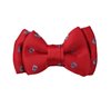 Bordeaux Baby's Bow Tie with Blue Skulls