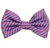 Silk Baby's Bow Tie with Blue and Red Stripes