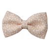 Bow Tie with Beige Paisley