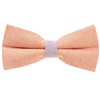 Salmon and Mauve Bow Tie