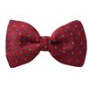 Garnet Bow Tie with Blue Daisies