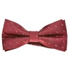 Bordeaux Bow Tie with Silver Dots