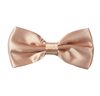 Beige Dress Bow Tie