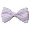 Bow Tie with Light Purple Stripes