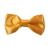 Boy's Yellow Bow Tie