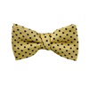 Boy's Yellow Polka Dots Bow Tie