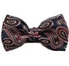 Boy's Paisley Bow Tie