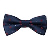 Boy's Blue with Red Squares Bow Tie