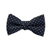 Boy's Dark Blue Polka Dots Bow Tie