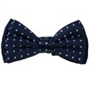 Boy's Polka Dots Bow Tie