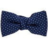 Boy's Blue Polka Dots Bow Tie