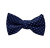 Boy's Blue Bow Tie with Dots