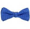 Boy's Royal Blue Bow Tie with Dots
