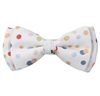 White Boy's Bow Tie with Dots