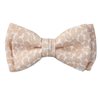 White Boy's Bow Tie with Paisley