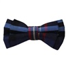 Boy's Blue and Red Tartan Bow Tie