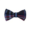 Boy's Blue and Red Tartan Bow Tie