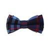 Boy's Blue and Red Tartan Bow Tie