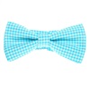 Boy's Turquoise Vichy Checked Bow Tie