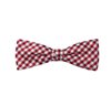 Boys' Checked Bow Tie