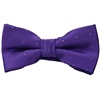 Boy's Purple Bow Tie with Dots