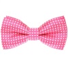 Boy's Fuchsia Bow Tie with Dots
