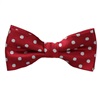 Boy's Garnet with Grey Dots Bow Tie