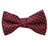 Boy's Garnet Bow Tie with Dots