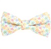 Boy's Daisies Bow Tie