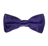 Boy's Deep Purple Bow Tie