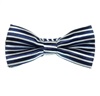 Boy's Deep Blue and White Stripes Bow Tie