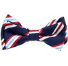 Boy's Blue and Red Stripes Bow Tie