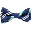 Boy's Dark Blue and Green Stripes Bow Tie