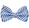 Boy's Royal Blue and White Stripes Bow Tie