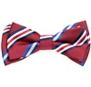Boy's Burgundy Bow Tie with Stripes