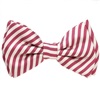 Boy's Striped Bow Tie