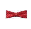 Boys' Red with Paisley Bow Tie