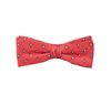 Boys' Coral Red with Grey Leaf Bow Tie