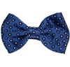 Boy's Polka Dots Silk Bow Tie