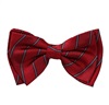 Boy's Garnet Silk Bow Tie