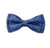 Royal Blue Silk Boy's Bow Tie with Paisley