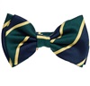 Boy's Silk Bow Tie with Stripes