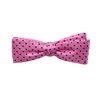 Boy's Pink Doted Silk Bow Tie