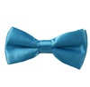 Boy's Turquoise Bow Tie