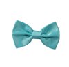 Boy's Turquoise Capri Bow Tie