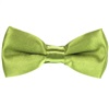 Boy's Pistachio Green Bow Tie